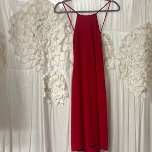 Naked Zebra Red Backless Dress